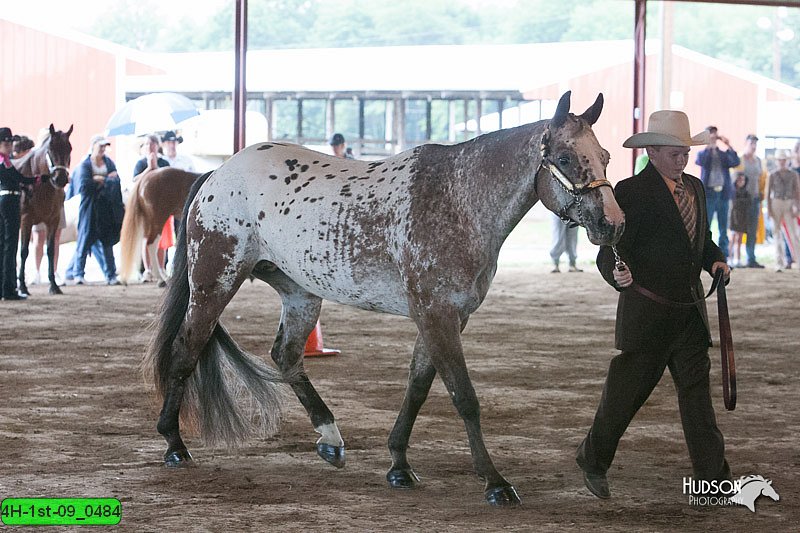 4H-1st-09_0484.jpg