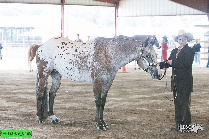 4H-1st-09_0488.jpg