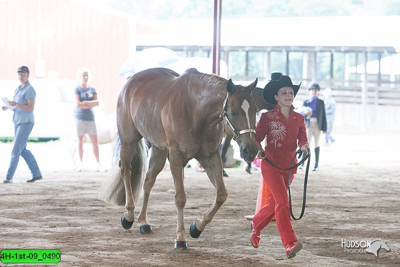 4H-1st-09_0490.jpg
