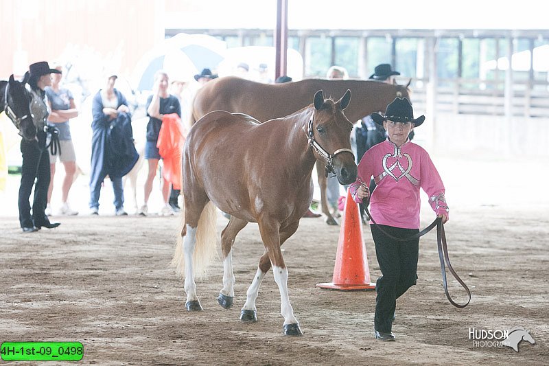 4H-1st-09_0498.jpg