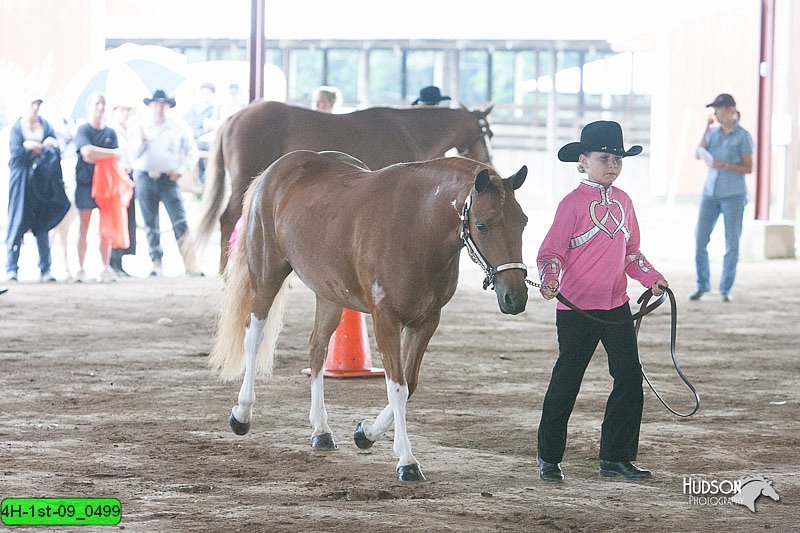4H-1st-09_0499.jpg