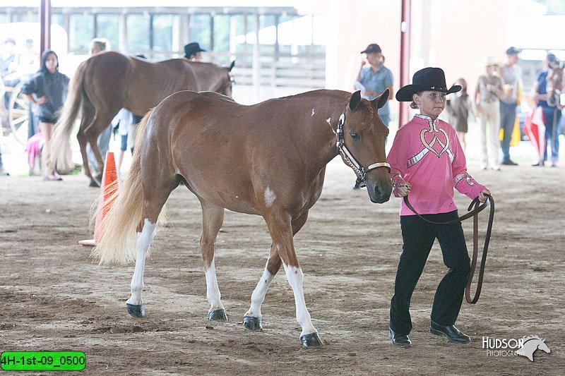 4H-1st-09_0500.jpg