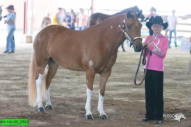 4H-1st-09_0503.jpg
