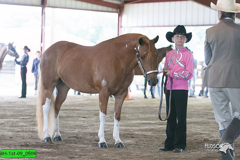 4H-1st-09_0506.jpg