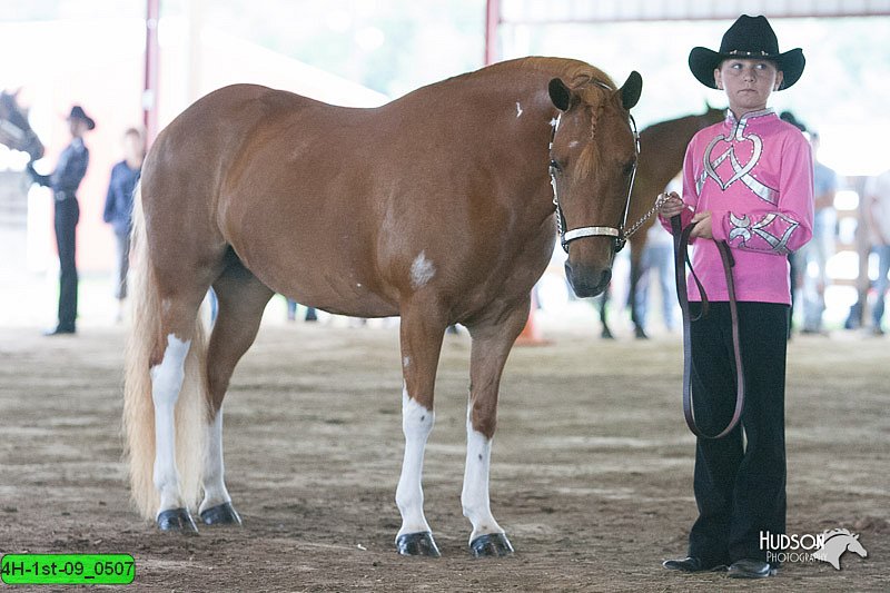 4H-1st-09_0507.jpg
