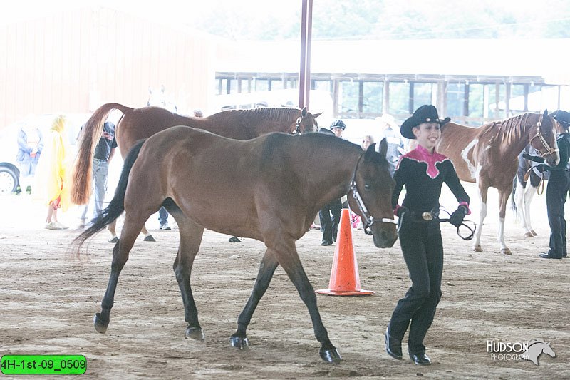4H-1st-09_0509.jpg