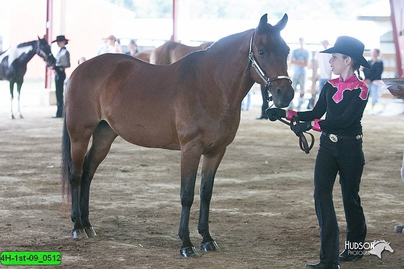 4H-1st-09_0512.jpg