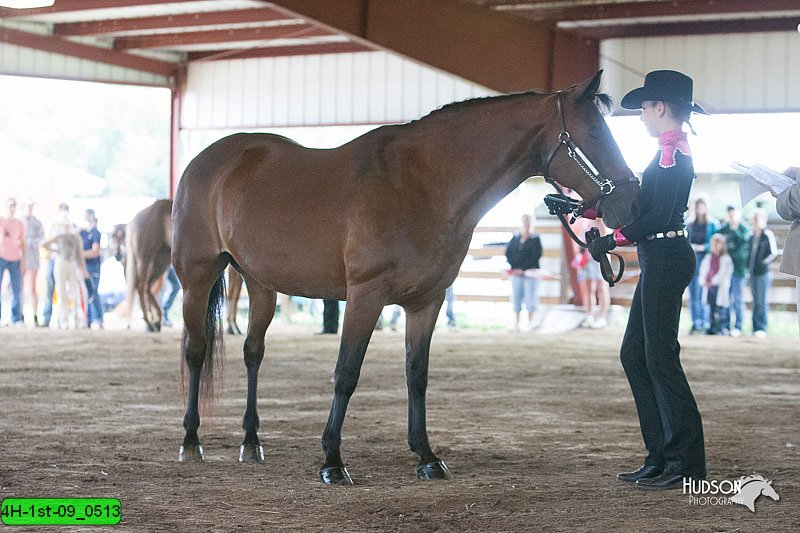 4H-1st-09_0513.jpg