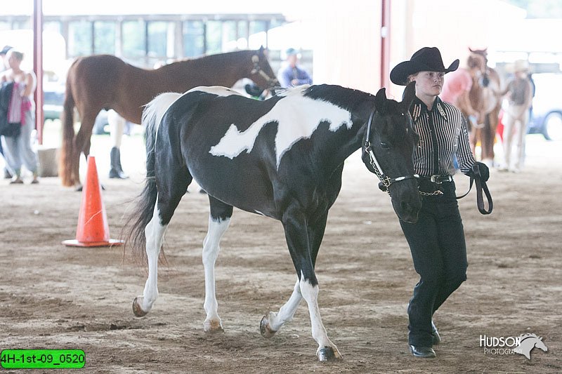 4H-1st-09_0520.jpg