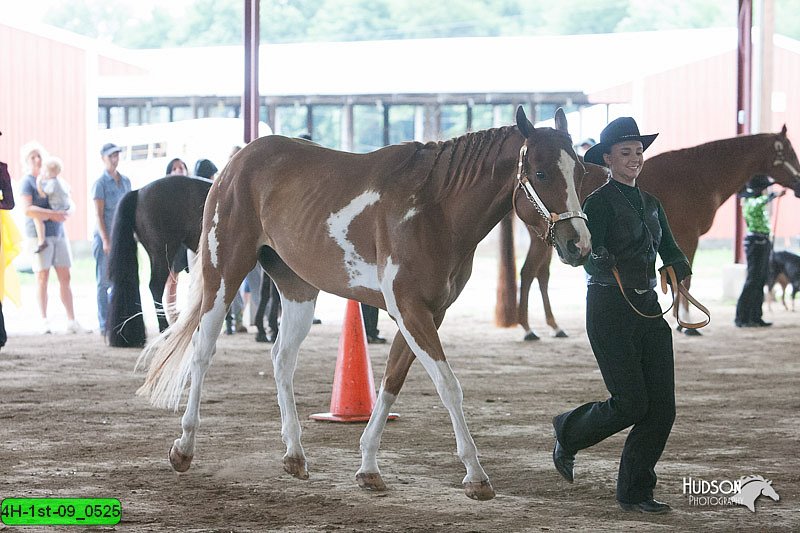 4H-1st-09_0525.jpg
