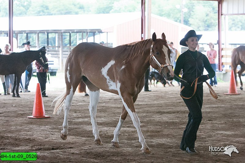 4H-1st-09_0526.jpg