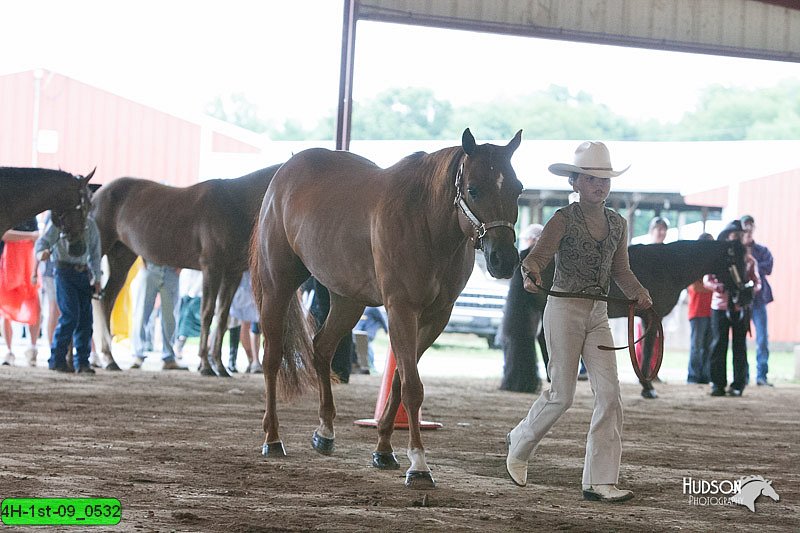 4H-1st-09_0532.jpg