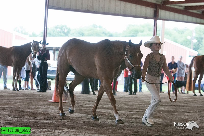 4H-1st-09_0533.jpg