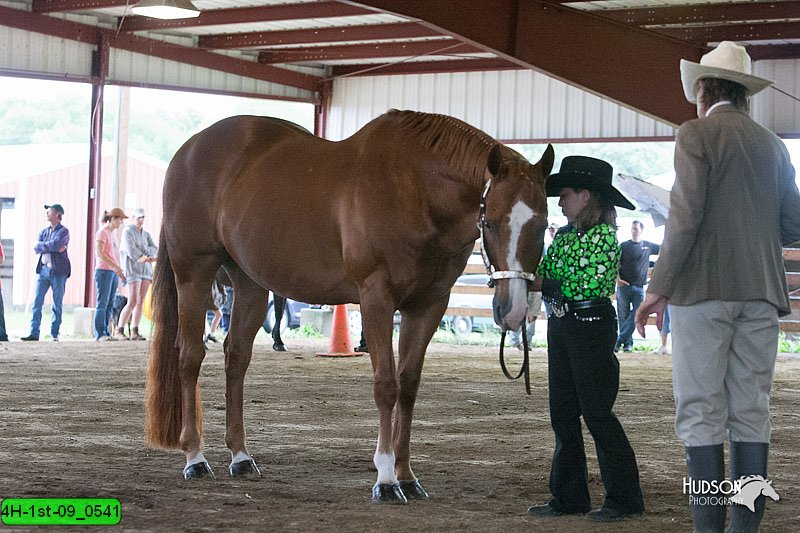4H-1st-09_0541.jpg