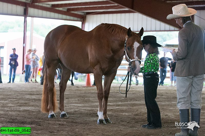 4H-1st-09_0542.jpg