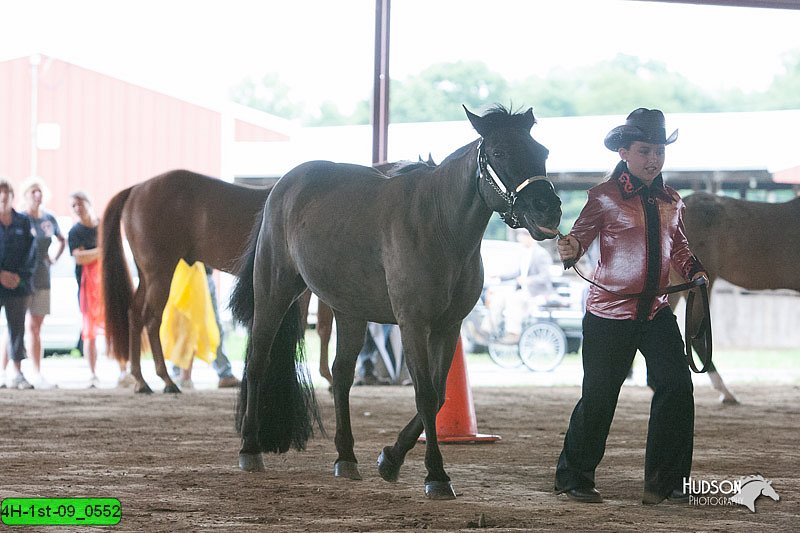 4H-1st-09_0552.jpg
