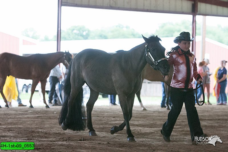 4H-1st-09_0553.jpg