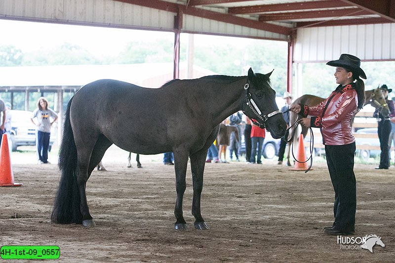 4H-1st-09_0557.jpg