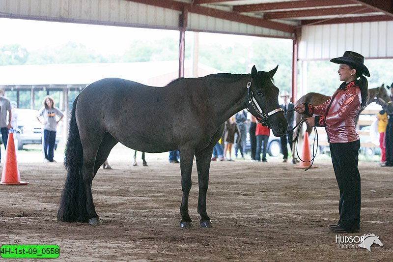 4H-1st-09_0558.jpg