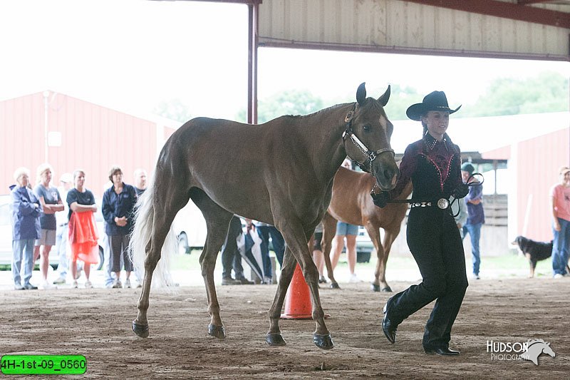 4H-1st-09_0560.jpg