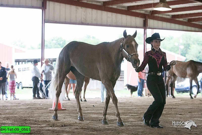 4H-1st-09_0561.jpg