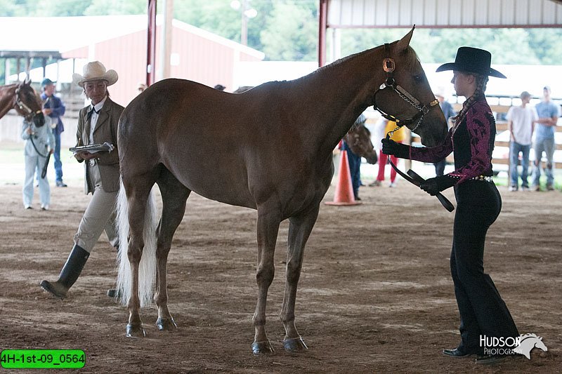 4H-1st-09_0564.jpg