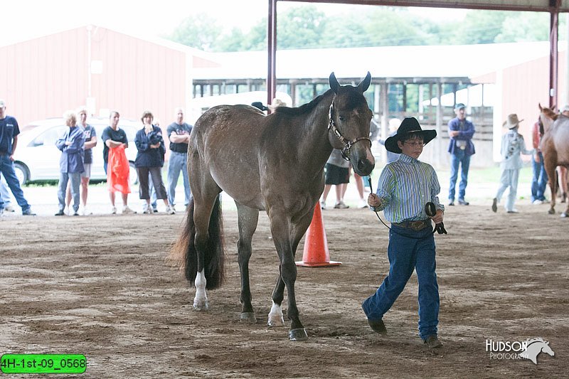 4H-1st-09_0568.jpg