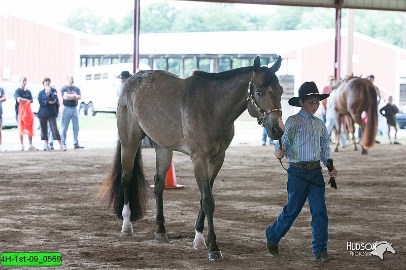4H-1st-09_0569.jpg