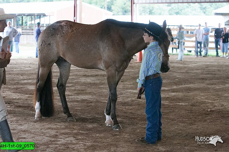 4H-1st-09_0570.jpg