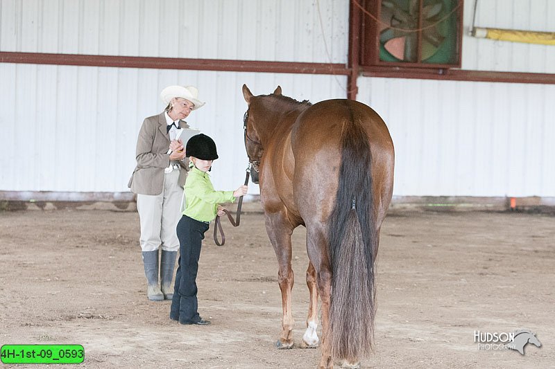 4H-1st-09_0593.jpg