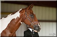 4H-1st-09_0332.jpg