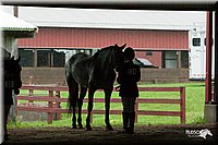 4H-1st-09_0372.jpg