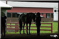 4H-1st-09_0375.jpg