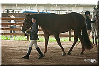 4H-1st-09_0381.jpg