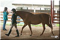 4H-1st-09_0383.jpg