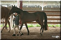 4H-1st-09_0384.jpg