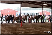 4H-1st-09_0451.jpg
