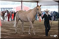 4H-1st-09_0453.jpg