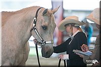 4H-1st-09_0454.jpg