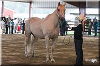 4H-1st-09_0456.jpg