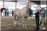 4H-1st-09_0457.jpg