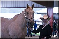 4H-1st-09_0458.jpg