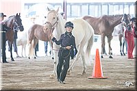 4H-1st-09_0460.jpg