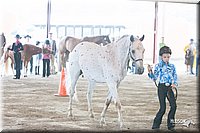 4H-1st-09_0468.jpg