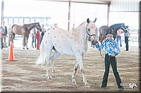 4H-1st-09_0469.jpg