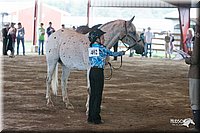 4H-1st-09_0474.jpg