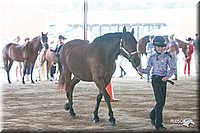 4H-1st-09_0476.jpg