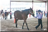 4H-1st-09_0477.jpg