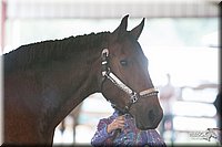 4H-1st-09_0478.jpg