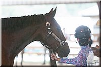 4H-1st-09_0479.jpg